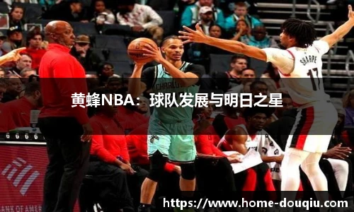 黄蜂NBA：球队发展与明日之星